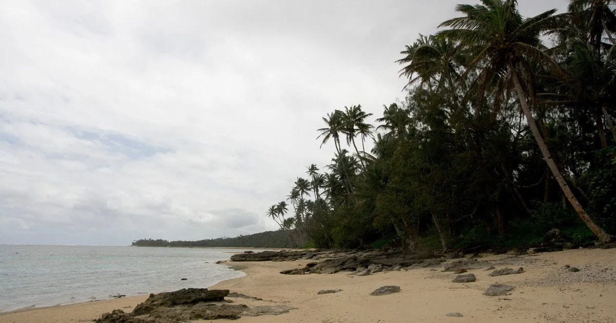 Фіджі. Фото: Maksym Kozlenko/CC BY-SA 3.0 Фіджі. Фото: Maksym Kozlenko/CC BY-SA 3.0