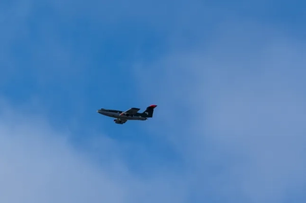 «Хижий птах», який полює та знищує дрони-камікадзе Ірану та Росії 8