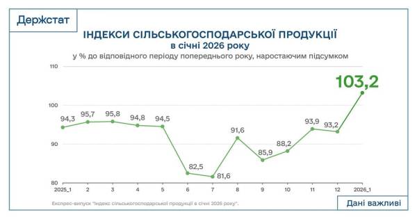 Аграрне виробництво в Україні: збільшення на 3,2% у січні (Дані Держстату) 4