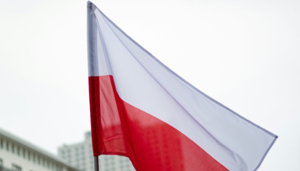 Понад 100 польських професорів медицини підписали відкритий лист на підтримку України