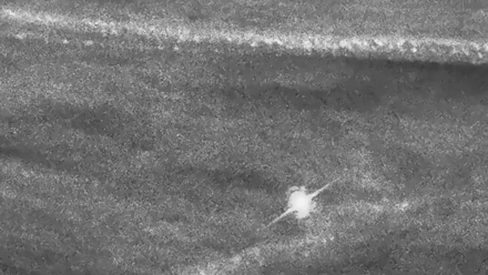 Прорив у розгадці міфу про африканського «короля Артура» після знахідки у купі сміття 11