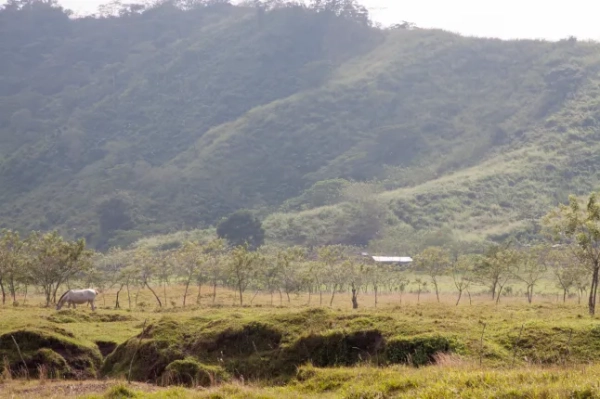 Вулкан, який «знищує цивілізацію», вивергається – чи може він спровокувати потужне виверження? 15