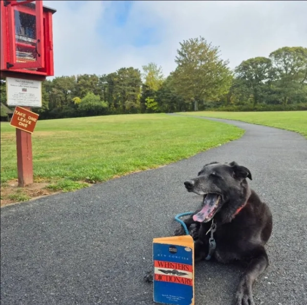 Кіт та Джеррі Буше та їхній собака https://www.facebook.com/kit.boucher