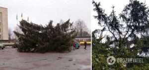 На Житомирщине новогодняя елка рухнула во время установки и оставила без интернета несколько сел