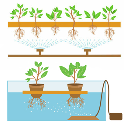гідропоніка для зелені