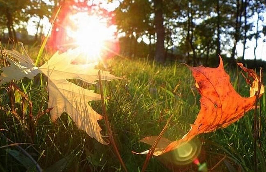 Погода: Літо не хоче поступатися місцем осені