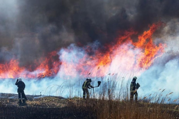 Roughly 44,000 people in the United States die each year from causes linked to inhalation of wildfire smoke, according to a study, and researchers expect that number to rise significantly by 2050. Photo by Adobe Stock/HealthDay