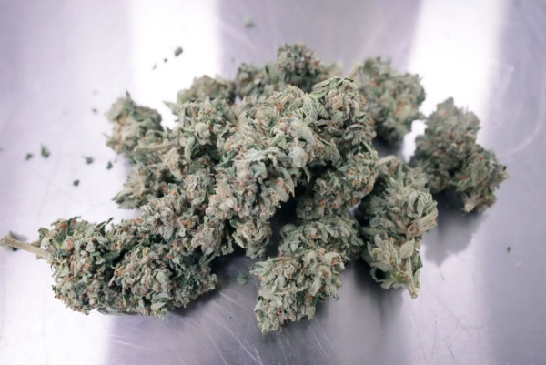 High levels of THC -- the compound in marijuana that causes a 