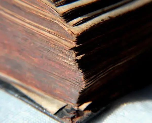 Яку таємницю зберігає найдавніша книга у світі: вчені бояться її відкривати