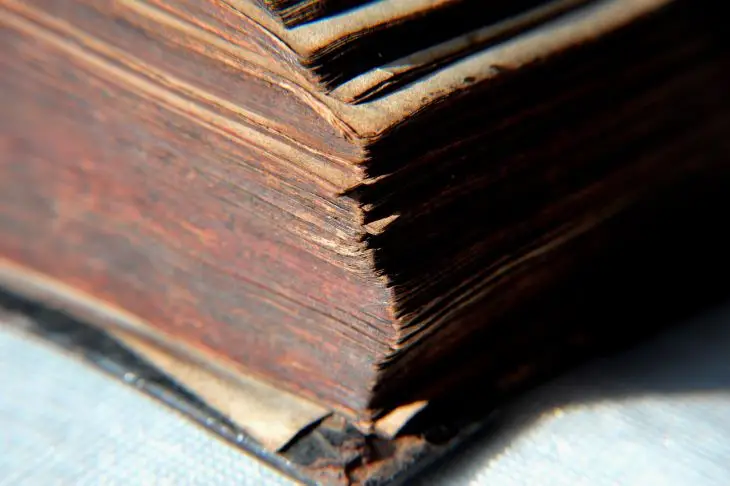 Яку таємницю зберігає найдавніша книга у світі: вчені бояться її відкривати книга