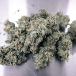 У крові двох із п’яти водіїв, які загинули&hellip;