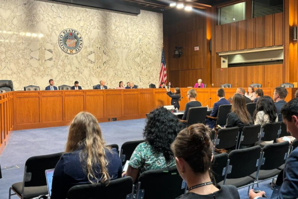 Witnesses testify on Capitol Hill in Washington at a Senate Special Committee on Aging hearing, 