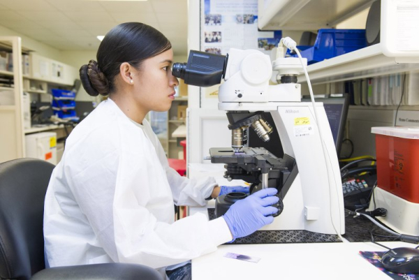 A medical laboratory technician performs a microscopic examination of a blood smear in 2017. A new award will help early career researchers who study dystonia, the Michael J. Fox Foundation announced Tuesday. File Photo by Phil Sunkel/U.S. Air Force