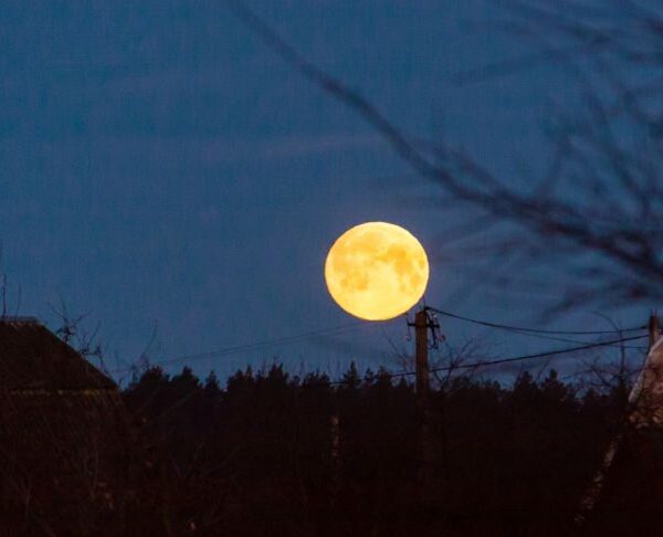 Китай назвав терміни першої висадки своїх космонавтів на Місяць