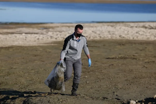 Цього сезону спалахи пташиного грипу зафіксовано у 15 країнах ЄС.