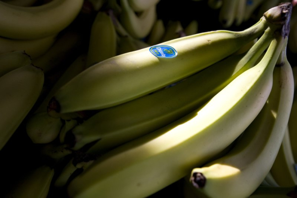According to a study, smoothies are healthier without bananas because the fruits may interfere with absorption of flavonals, which are good for the brain and heart health, from other fruits in the mix. File Photo by Aaron Kehoe/UPI