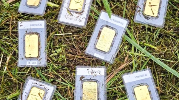 На фото зображено золоті злитки, знайдені під час косіння трави в Банневіці (Саксонія) в Німеччині, без дати. Вартість скарбу становить близько 30 000 євро. (Ordnungsamt Bannewitz/newsX/NF)