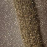 Аграрне виробництво в Україні впало на 6,8% за минулий рік,…