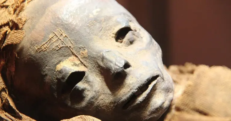 Відкрито унікальне поховання жертв чуми. 6