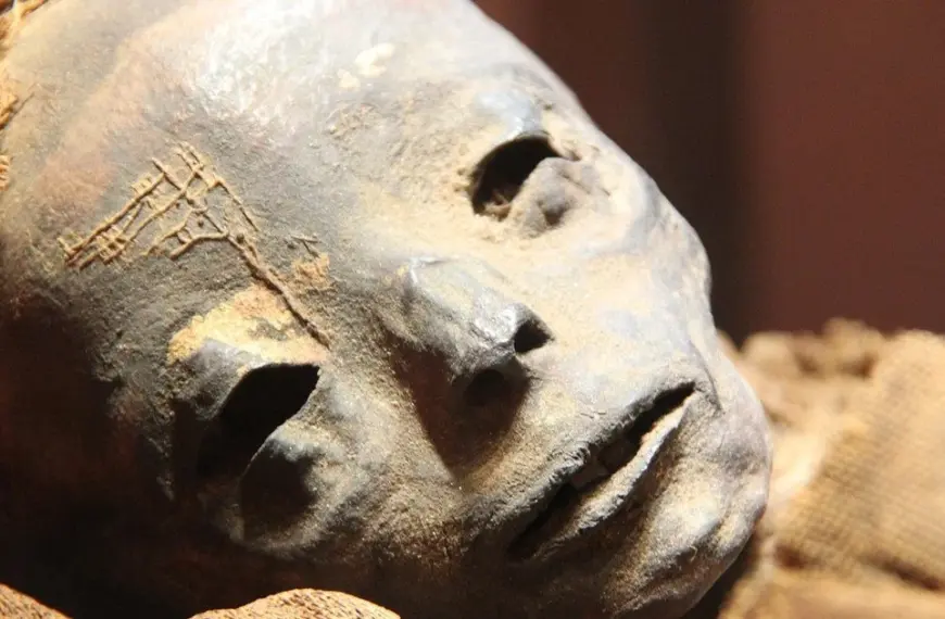 Відкрито унікальне поховання жертв чуми.