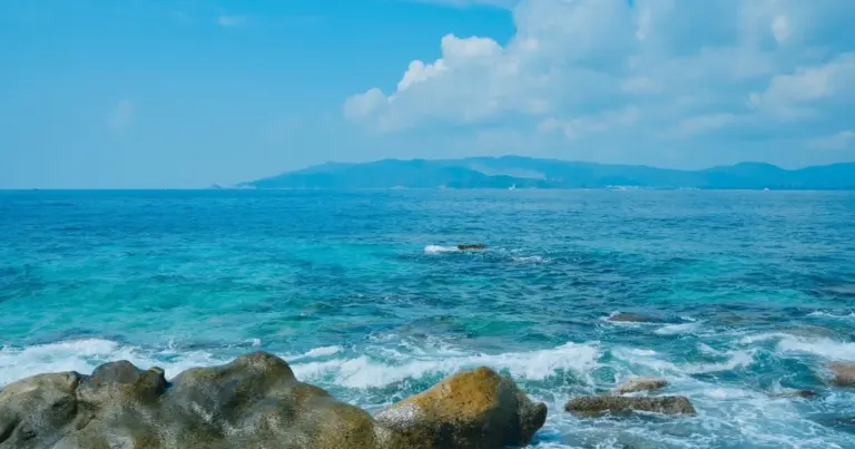 Таємниця "Драконової діри": у глибокій западині океану виявлено 1700 невідомих вірусних частинок. 1