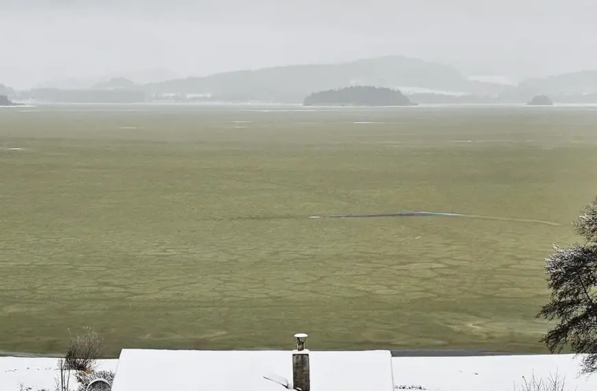 Загадкові зелені сліди під кригою: що стривожило вчених в замерзлому озері