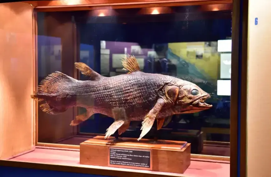 Несподіваний вилов вразив науковців: як випадкове відкриття змінило наукові погляди