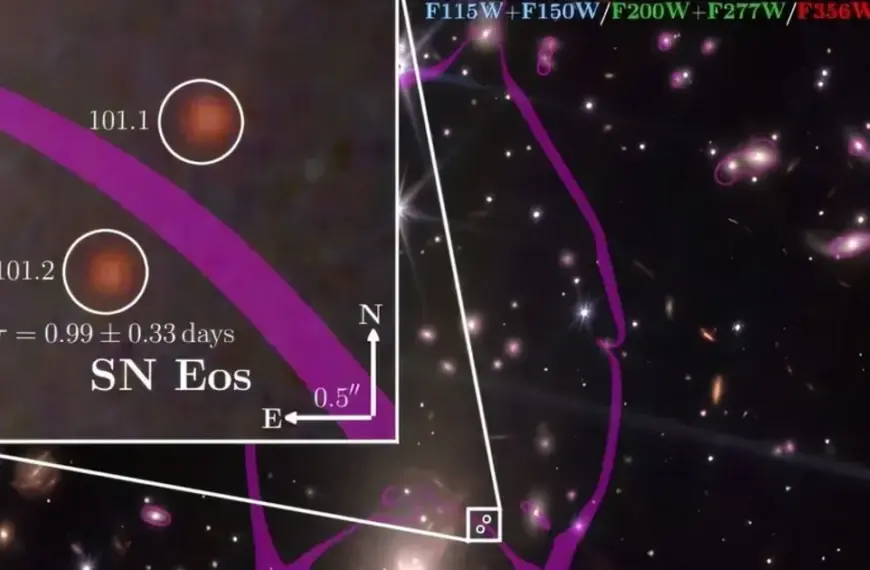 Ранкова зоря всесвіту: телескоп Вебб розгледів одну з найдавніших вибухлих зірок