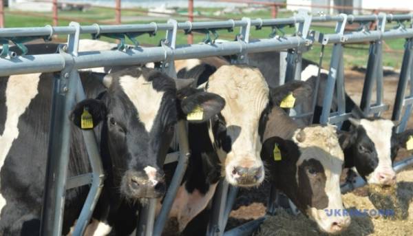 В Україні за рік поменшало&hellip;