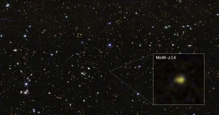 Найдавніша і найдальша галактика у Всесвіті MoM-z14: науковці здивовані 15
