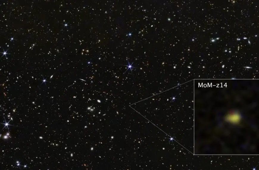Найдавніша і найдальша галактика у Всесвіті MoM-z14: науковці здивовані