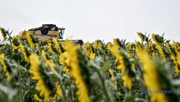 В Україні вартість соняшника досягла&hellip;