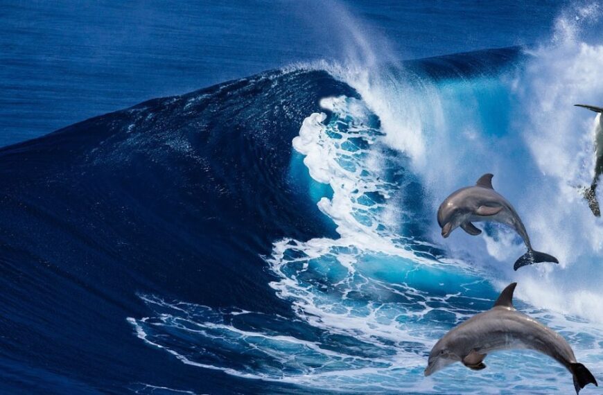 Науковці знайшли створінь, що використовують “імена” для комунікації.