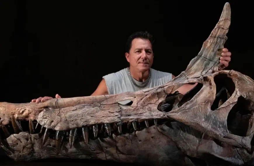 Наука раніше невідома: знайдено рештки дивовижного динозавра з чубом, схожого на чаплю.