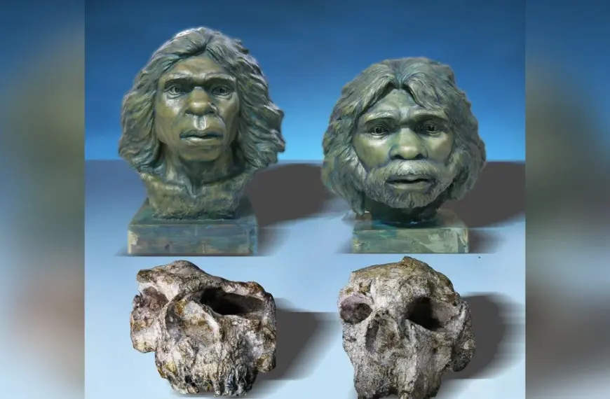 Китайські знахідки кидають виклик усталеній хронології заселення Азії первісними людьми: подробиці