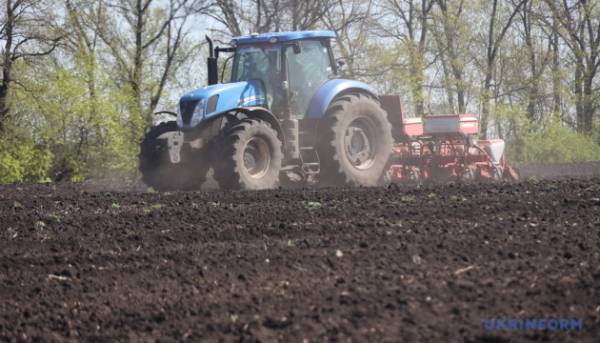 В Україні зменшується число великих землевласників: вплив війни…