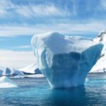 Непроханий гість: сфотографовано хижака в Антарктиді