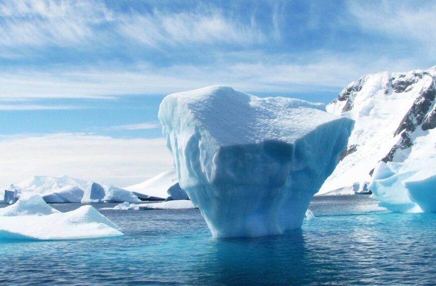 Непроханий гість: сфотографовано хижака в Антарктиді