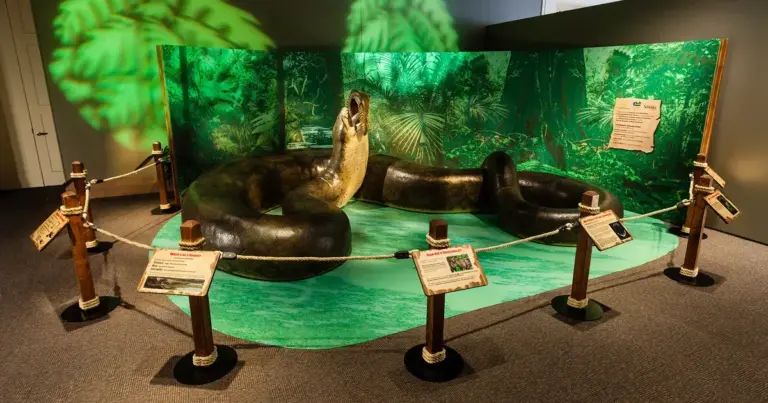 Велетенські змії, розміром з вантажівку: як виглядали найбільші гіганти земної історії 7