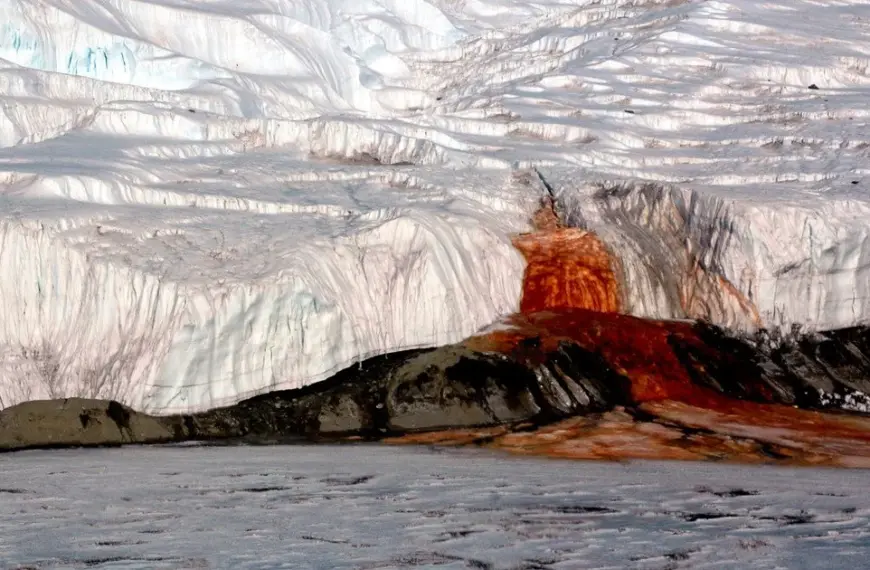 Червона рідина з-під криги: таємниця Кривавого водоспаду в Антарктиді