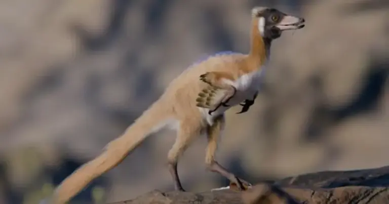 Крихітний, як кішка: відкопано скам'янілість динозавра віком 90 мільйонів років. 6