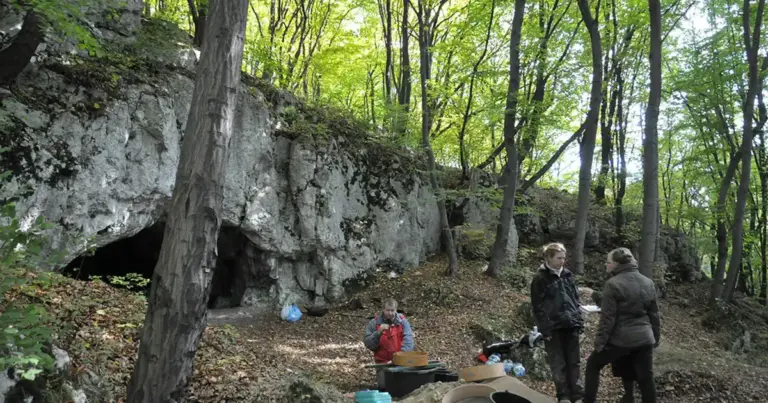 У Південній Польщі знайшли кістки з ознаками канібалізму: події в печері 18 тисячоліть тому. 15
