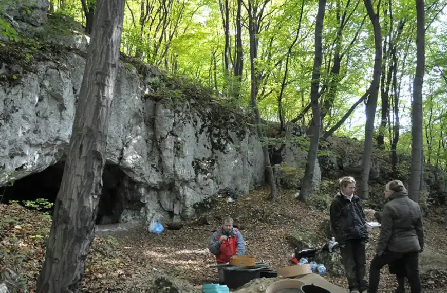 У Південній Польщі знайшли кістки з ознаками канібалізму: події&hellip;