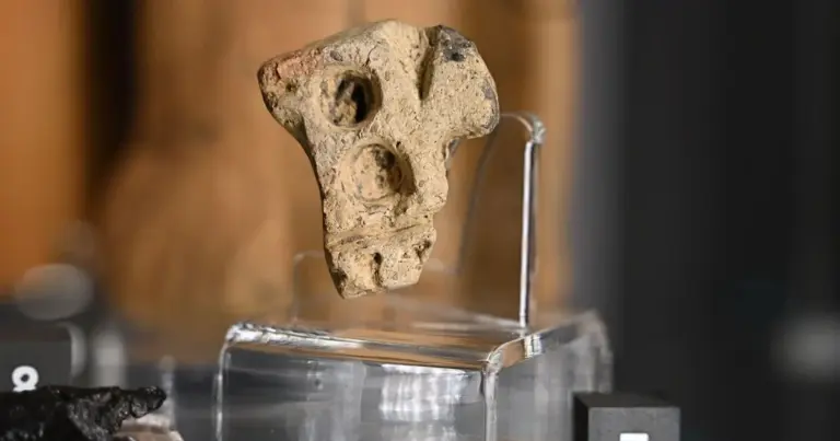 Загадка епохи заліза: у Польщі знайдено рідкісний артефакт віком 2,5 тисячі років. 3