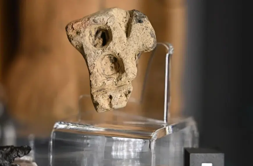 Загадка епохи заліза: у Польщі знайдено рідкісний артефакт віком 2,5 тисячі років.