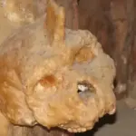 Головна 56 Загадковий череп віком 300 тисяч років змусив вчених переосмислити еволюцію людини