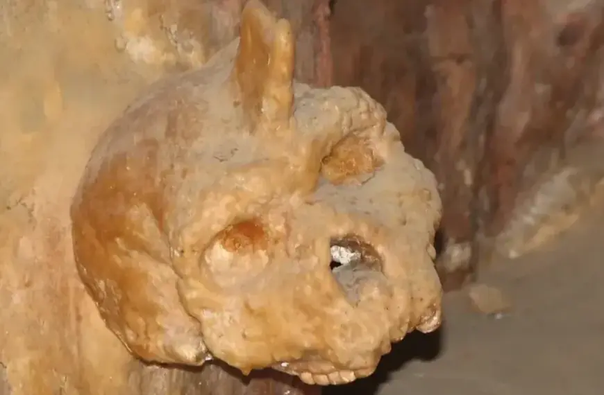 Загадковий череп віком 300 тисяч років змусив вчених переосмислити еволюцію людини