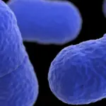 Приховані в глибинах Землі мікроби: мільйони років сну в очікуванні&hellip;