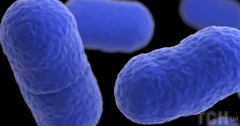 Приховані в глибинах Землі мікроби: мільйони років сну в очікуванні чогось 15