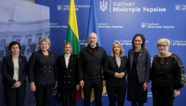 Шмигаль поінформував литовський Сейм про потреби української енергетики 1